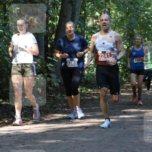 28.09.2025 - 33. Volkslauf durch das schöne Alstertal Strokosch-Dieckow http://msf.ph/oto/8970260 28.09.2025 11:47:16 Laufen 3389, 2241, 100, 81 meine-sportfotos.de