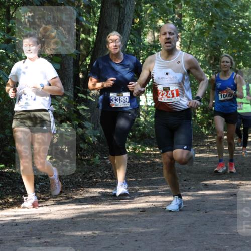 28.09.2025 - 33. Volkslauf durch das schöne Alstertal Strokosch-Dieckow http://msf.ph/oto/8970261 28.09.2025 11:47:16 Laufen 3389, 2241, 1009 meine-sportfotos.de