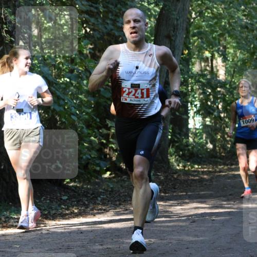 28.09.2025 - 33. Volkslauf durch das schöne Alstertal Strokosch-Dieckow http://msf.ph/oto/8970262 28.09.2025 11:47:17 Laufen 2241, 1009, 1581 meine-sportfotos.de
