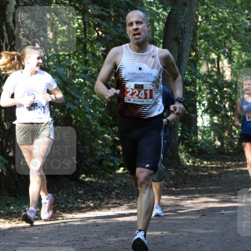 28.09.2025 - 33. Volkslauf durch das schöne Alstertal Strokosch-Dieckow http://msf.ph/oto/8970263 28.09.2025 11:47:17 Laufen 2241, 1009, 1581 meine-sportfotos.de