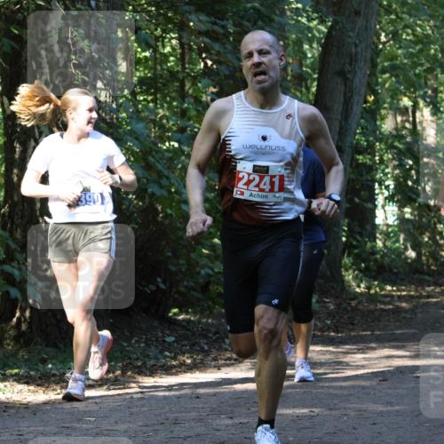 28.09.2025 - 33. Volkslauf durch das schöne Alstertal Strokosch-Dieckow http://msf.ph/oto/8970264 28.09.2025 11:47:18 Laufen 2241, 1009, 1581 meine-sportfotos.de