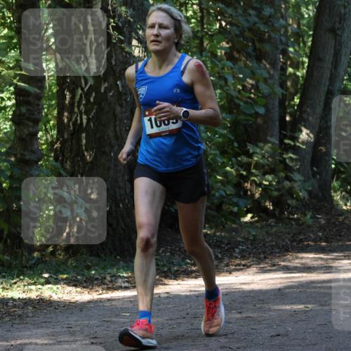 28.09.2025 - 33. Volkslauf durch das schöne Alstertal Strokosch-Dieckow http://msf.ph/oto/8970272 28.09.2025 11:47:21 Laufen 1609, 1581 meine-sportfotos.de