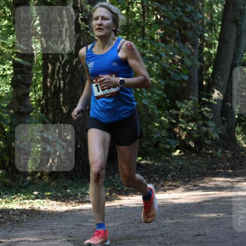 28.09.2025 - 33. Volkslauf durch das schöne Alstertal Strokosch-Dieckow http://msf.ph/oto/8970273 28.09.2025 11:47:21 Laufen 1581 meine-sportfotos.de