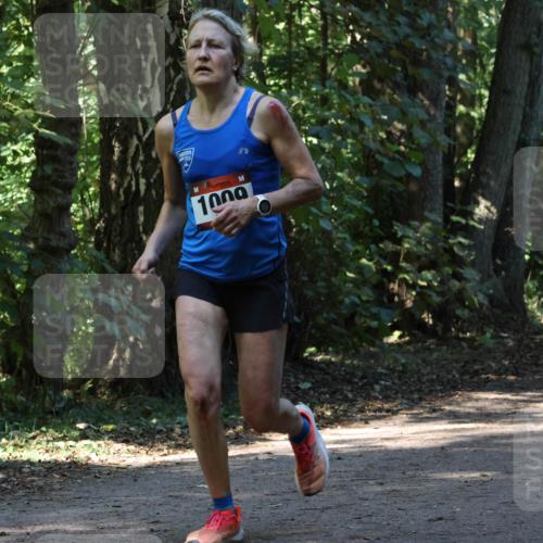 28.09.2025 - 33. Volkslauf durch das schöne Alstertal Strokosch-Dieckow http://msf.ph/oto/8970274 28.09.2025 11:47:21 Laufen 1000, 1581 meine-sportfotos.de