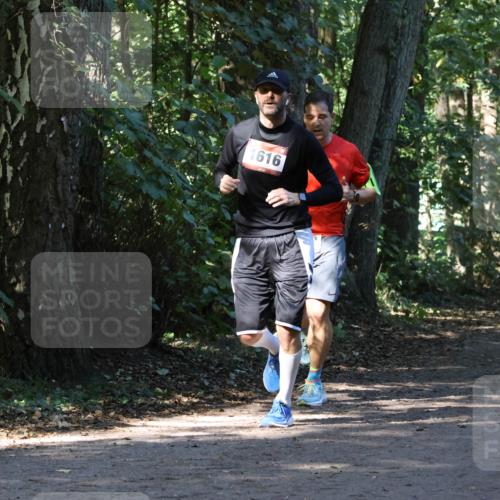28.09.2025 - 33. Volkslauf durch das schöne Alstertal Strokosch-Dieckow http://msf.ph/oto/8970282 28.09.2025 11:47:31 Laufen 1616 meine-sportfotos.de