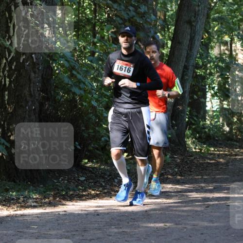 28.09.2025 - 33. Volkslauf durch das schöne Alstertal Strokosch-Dieckow http://msf.ph/oto/8970284 28.09.2025 11:47:31 Laufen 1616 meine-sportfotos.de