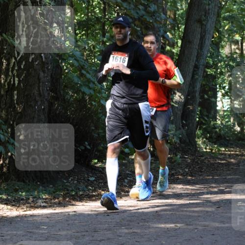 28.09.2025 - 33. Volkslauf durch das schöne Alstertal Strokosch-Dieckow http://msf.ph/oto/8970286 28.09.2025 11:47:31 Laufen 1616 meine-sportfotos.de