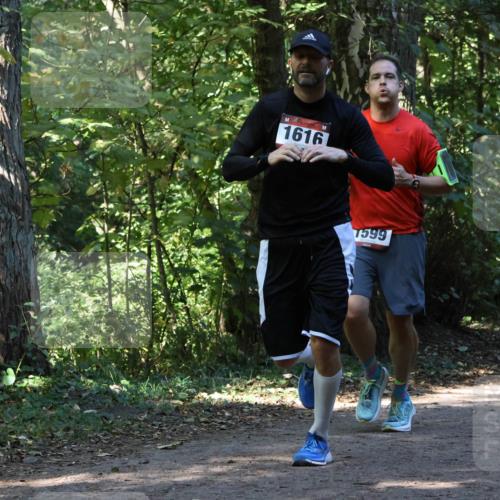 28.09.2025 - 33. Volkslauf durch das schöne Alstertal Strokosch-Dieckow http://msf.ph/oto/8970288 28.09.2025 11:47:33 Laufen 1616, 7599 meine-sportfotos.de