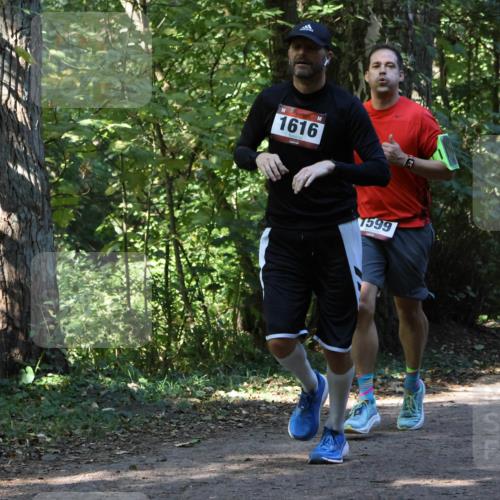 28.09.2025 - 33. Volkslauf durch das schöne Alstertal Strokosch-Dieckow http://msf.ph/oto/8970289 28.09.2025 11:47:33 Laufen 1616, 1599 meine-sportfotos.de