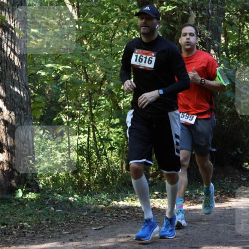 28.09.2025 - 33. Volkslauf durch das schöne Alstertal Strokosch-Dieckow http://msf.ph/oto/8970290 28.09.2025 11:47:33 Laufen 1616, 599 meine-sportfotos.de
