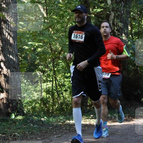 28.09.2025 - 33. Volkslauf durch das schöne Alstertal Strokosch-Dieckow http://msf.ph/oto/8970291 28.09.2025 11:47:33 Laufen 1616, 599 meine-sportfotos.de