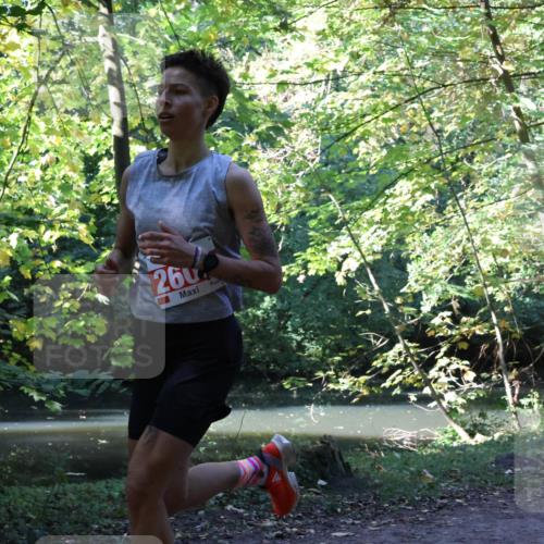 28.09.2025 - 33. Volkslauf durch das schöne Alstertal Strokosch-Dieckow http://msf.ph/oto/8970300 28.09.2025 11:47:45 Laufen 260 meine-sportfotos.de