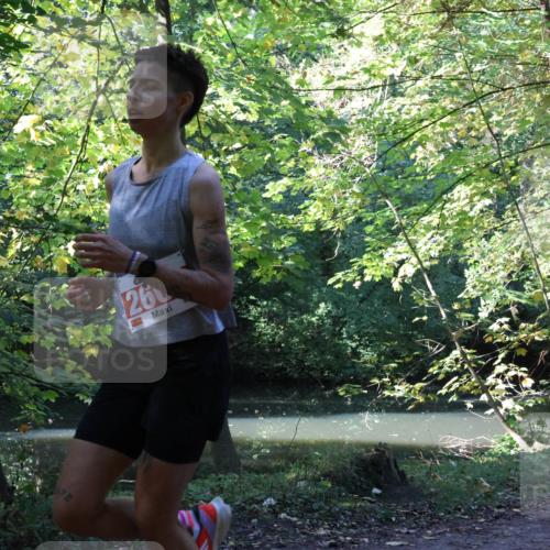 28.09.2025 - 33. Volkslauf durch das schöne Alstertal Strokosch-Dieckow http://msf.ph/oto/8970301 28.09.2025 11:47:45 Laufen 26 meine-sportfotos.de