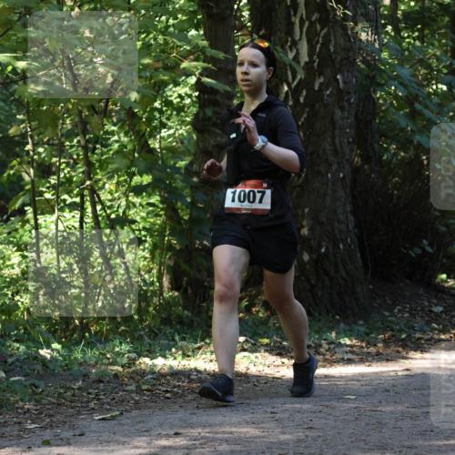 28.09.2025 - 33. Volkslauf durch das schöne Alstertal Strokosch-Dieckow http://msf.ph/oto/8970314 28.09.2025 11:48:03 Laufen 1007 meine-sportfotos.de