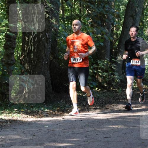 28.09.2025 - 33. Volkslauf durch das schöne Alstertal Strokosch-Dieckow http://msf.ph/oto/8970318 28.09.2025 11:48:21 Laufen 1570, 1614 meine-sportfotos.de