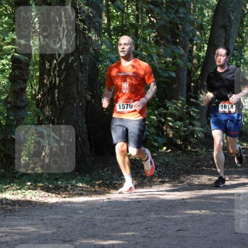 28.09.2025 - 33. Volkslauf durch das schöne Alstertal Strokosch-Dieckow http://msf.ph/oto/8970320 28.09.2025 11:48:21 Laufen 1570, 1614 meine-sportfotos.de