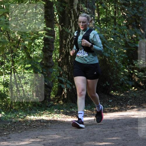 28.09.2025 - 33. Volkslauf durch das schöne Alstertal Strokosch-Dieckow http://msf.ph/oto/8970328 28.09.2025 11:48:36 Laufen 3336 meine-sportfotos.de