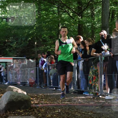28.09.2025 - 33. Volkslauf durch das schöne Alstertal Strokosch-Dieckow http://msf.ph/oto/8970333 28.09.2025 11:51:28 Ziel 2381, 2654, 3111 meine-sportfotos.de