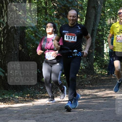 28.09.2025 - 33. Volkslauf durch das schöne Alstertal Strokosch-Dieckow http://msf.ph/oto/8970337 28.09.2025 11:48:51 Laufen 313, 1571, 2385 meine-sportfotos.de
