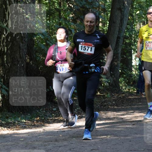 28.09.2025 - 33. Volkslauf durch das schöne Alstertal Strokosch-Dieckow http://msf.ph/oto/8970338 28.09.2025 11:48:51 Laufen 3137, 1571, 2389 meine-sportfotos.de