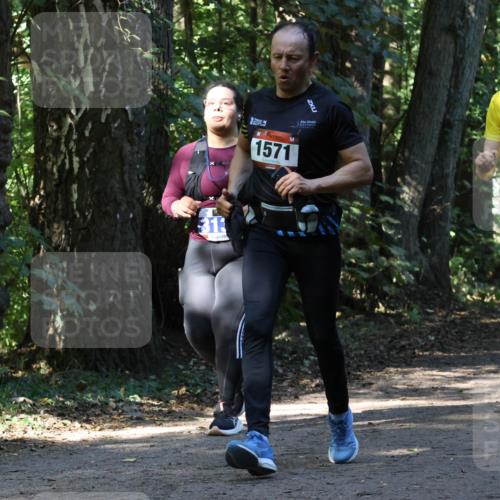 28.09.2025 - 33. Volkslauf durch das schöne Alstertal Strokosch-Dieckow http://msf.ph/oto/8970342 28.09.2025 11:48:51 Laufen 31, 1571, 2389 meine-sportfotos.de