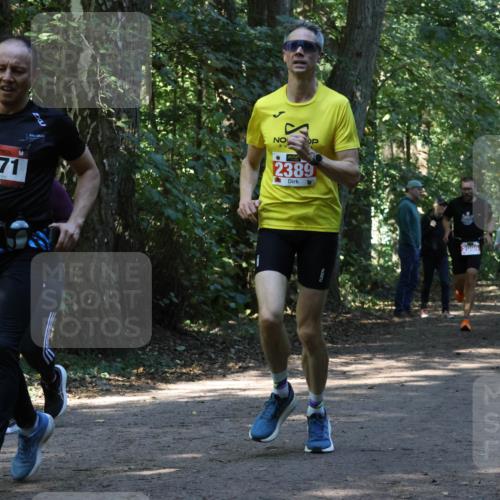 28.09.2025 - 33. Volkslauf durch das schöne Alstertal Strokosch-Dieckow http://msf.ph/oto/8970343 28.09.2025 11:48:52 Laufen 1571, 2389, 2995, 1010 meine-sportfotos.de