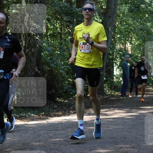 28.09.2025 - 33. Volkslauf durch das schöne Alstertal Strokosch-Dieckow http://msf.ph/oto/8970344 28.09.2025 11:48:52 Laufen 1571, 2389, 2995, 1010 meine-sportfotos.de