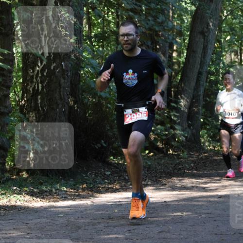 28.09.2025 - 33. Volkslauf durch das schöne Alstertal Strokosch-Dieckow http://msf.ph/oto/8970347 28.09.2025 11:48:56 Laufen 2995, 1010 meine-sportfotos.de