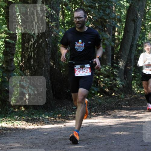 28.09.2025 - 33. Volkslauf durch das schöne Alstertal Strokosch-Dieckow http://msf.ph/oto/8970349 28.09.2025 11:48:56 Laufen 2995, 1010 meine-sportfotos.de