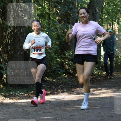 28.09.2025 - 33. Volkslauf durch das schöne Alstertal Strokosch-Dieckow http://msf.ph/oto/8970350 28.09.2025 11:48:58 Laufen 1010 meine-sportfotos.de