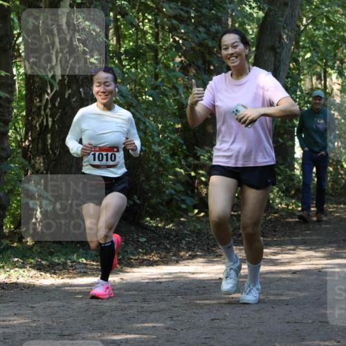 28.09.2025 - 33. Volkslauf durch das schöne Alstertal Strokosch-Dieckow http://msf.ph/oto/8970352 28.09.2025 11:48:58 Laufen 1010 meine-sportfotos.de