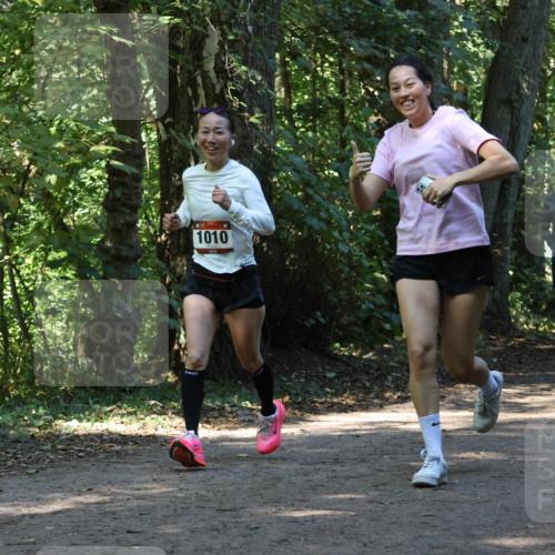 28.09.2025 - 33. Volkslauf durch das schöne Alstertal Strokosch-Dieckow http://msf.ph/oto/8970355 28.09.2025 11:48:58 Laufen 1010 meine-sportfotos.de