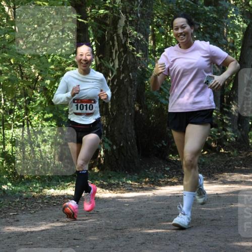 28.09.2025 - 33. Volkslauf durch das schöne Alstertal Strokosch-Dieckow http://msf.ph/oto/8970360 28.09.2025 11:48:58 Laufen 1010 meine-sportfotos.de