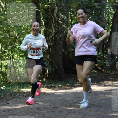 28.09.2025 - 33. Volkslauf durch das schöne Alstertal Strokosch-Dieckow http://msf.ph/oto/8970362 28.09.2025 11:48:58 Laufen 1010 meine-sportfotos.de