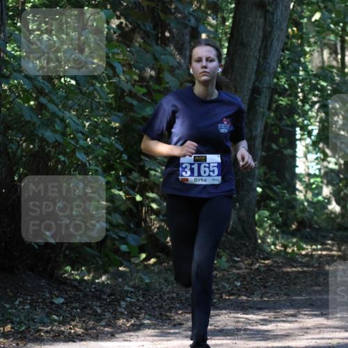 28.09.2025 - 33. Volkslauf durch das schöne Alstertal Strokosch-Dieckow http://msf.ph/oto/8970364 28.09.2025 11:49:07 Laufen 3165 meine-sportfotos.de