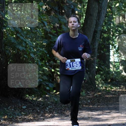 28.09.2025 - 33. Volkslauf durch das schöne Alstertal Strokosch-Dieckow http://msf.ph/oto/8970365 28.09.2025 11:49:07 Laufen 3165 meine-sportfotos.de