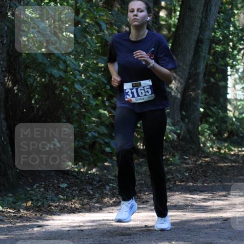 28.09.2025 - 33. Volkslauf durch das schöne Alstertal Strokosch-Dieckow http://msf.ph/oto/8970367 28.09.2025 11:49:07 Laufen 3165 meine-sportfotos.de