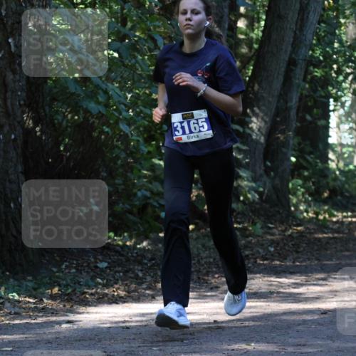 28.09.2025 - 33. Volkslauf durch das schöne Alstertal Strokosch-Dieckow http://msf.ph/oto/8970368 28.09.2025 11:49:07 Laufen 3165 meine-sportfotos.de