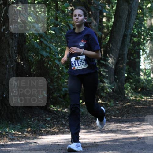 28.09.2025 - 33. Volkslauf durch das schöne Alstertal Strokosch-Dieckow http://msf.ph/oto/8970369 28.09.2025 11:49:08 Laufen 3165 meine-sportfotos.de