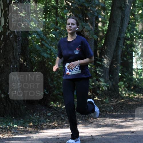 28.09.2025 - 33. Volkslauf durch das schöne Alstertal Strokosch-Dieckow http://msf.ph/oto/8970370 28.09.2025 11:49:08 Laufen 3705 meine-sportfotos.de