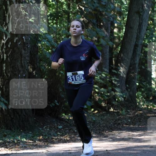 28.09.2025 - 33. Volkslauf durch das schöne Alstertal Strokosch-Dieckow http://msf.ph/oto/8970372 28.09.2025 11:49:08 Laufen 3165 meine-sportfotos.de