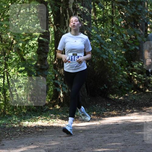 28.09.2025 - 33. Volkslauf durch das schöne Alstertal Strokosch-Dieckow http://msf.ph/oto/8970373 28.09.2025 11:49:23 Laufen 316, 1638 meine-sportfotos.de