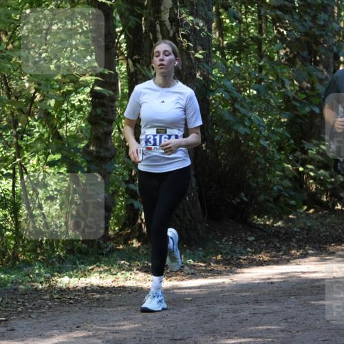 28.09.2025 - 33. Volkslauf durch das schöne Alstertal Strokosch-Dieckow http://msf.ph/oto/8970374 28.09.2025 11:49:23 Laufen 3164, 1638 meine-sportfotos.de