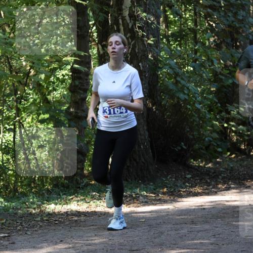 28.09.2025 - 33. Volkslauf durch das schöne Alstertal Strokosch-Dieckow http://msf.ph/oto/8970376 28.09.2025 11:49:23 Laufen 3164, 1638 meine-sportfotos.de