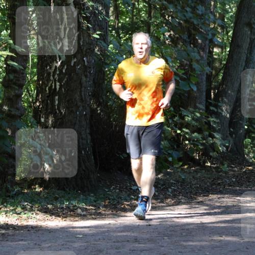 28.09.2025 - 33. Volkslauf durch das schöne Alstertal Strokosch-Dieckow http://msf.ph/oto/8970393 28.09.2025 11:49:56 Laufen  meine-sportfotos.de