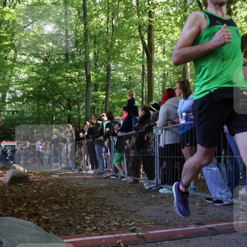 28.09.2025 - 33. Volkslauf durch das schöne Alstertal Strokosch-Dieckow http://msf.ph/oto/8970396 28.09.2025 11:51:30 Ziel 2381, 2654, 3111 meine-sportfotos.de
