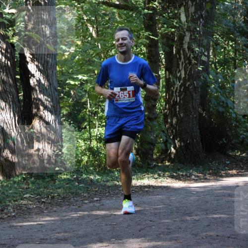 28.09.2025 - 33. Volkslauf durch das schöne Alstertal Strokosch-Dieckow http://msf.ph/oto/8970399 28.09.2025 11:50:10 Laufen 2651 meine-sportfotos.de