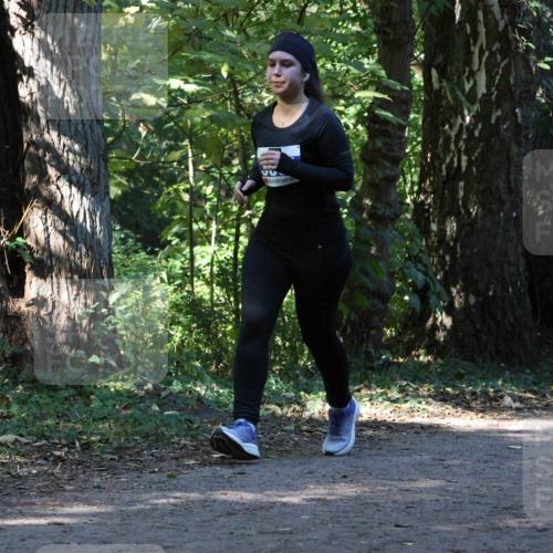 28.09.2025 - 33. Volkslauf durch das schöne Alstertal Strokosch-Dieckow http://msf.ph/oto/8970402 28.09.2025 11:50:21 Laufen  meine-sportfotos.de