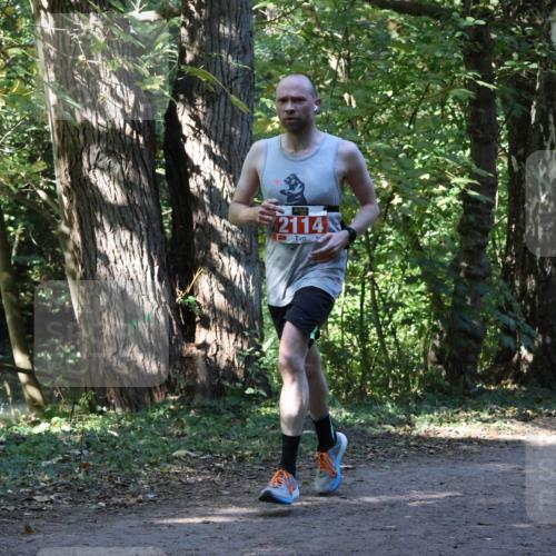 28.09.2025 - 33. Volkslauf durch das schöne Alstertal Strokosch-Dieckow http://msf.ph/oto/8970409 28.09.2025 11:50:33 Laufen 2114, 1594 meine-sportfotos.de