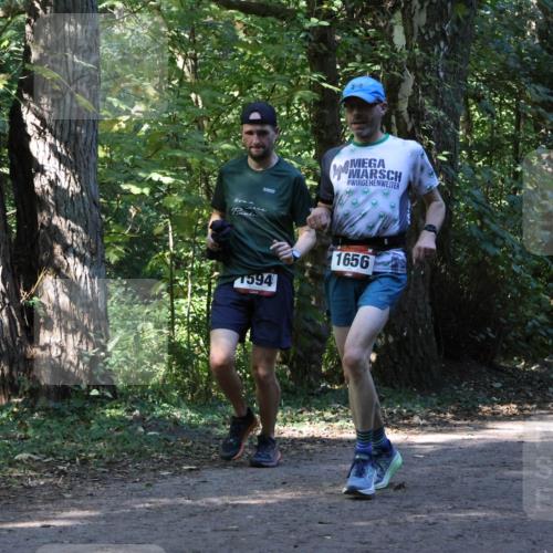 28.09.2025 - 33. Volkslauf durch das schöne Alstertal Strokosch-Dieckow http://msf.ph/oto/8970412 28.09.2025 11:50:34 Laufen 1594, 1656 meine-sportfotos.de